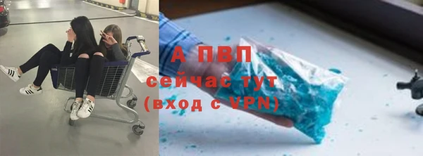 спиды Лагань