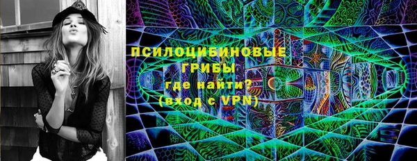 спиды Лагань