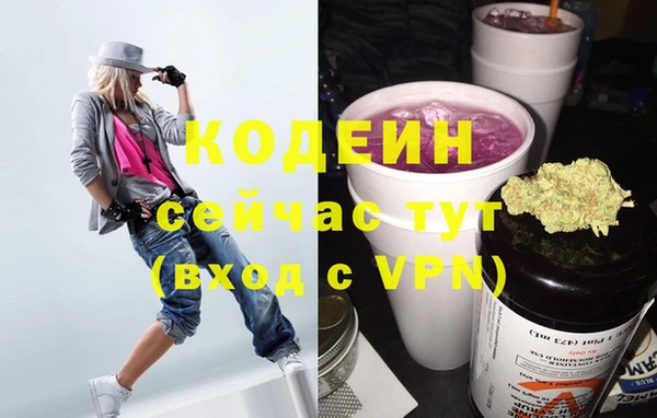 спиды Лагань